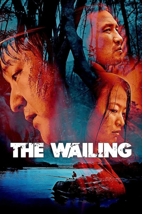The Wailing 2016 Hin Hindi HdRip